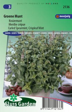 Kruizemunt (Mentha spicata) 950 zaden SL